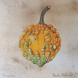 Cornucopia treasures: Drawing pumpkins, nuts and other festive edibles