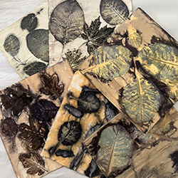 Botanical Dye Printmaking